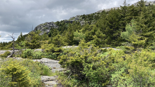 Lush green vegetation and rocky terrain under a cloudy sky, showcasing a mountainous landscape.