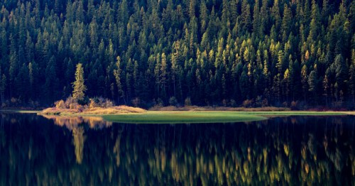 A calm lake reflects a mountain covered in pine trees at Lone Pine Park in Montana.