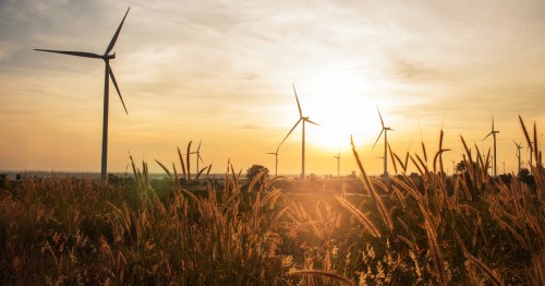 Wind turbines stand tall over the prairie during sunrise in Kansas.