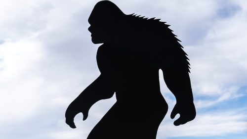 A large black silhouette of Bigfoot stands on a grassy field against a cloudy sky.