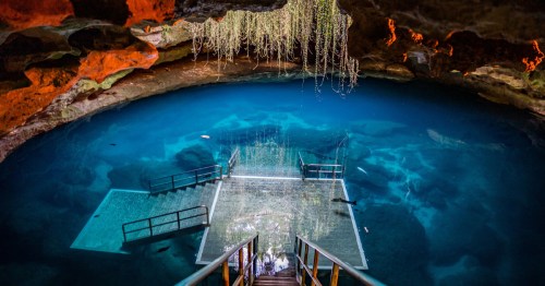 Devil's Den Spring in Williston, Florida