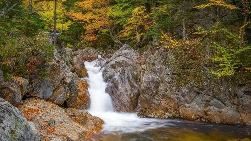 A serene waterfall cascades over rocks, surrounded by vibrant autumn foliage in a tranquil forest setting.