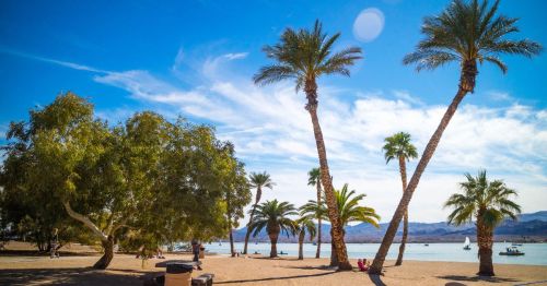 Views of palm trees and turquoise water at a popular Arizona swimming destination.