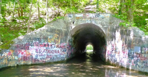 The entrance to a haunted, hidden tunnel in Tennessee, covered in graffiti in a wooded area.