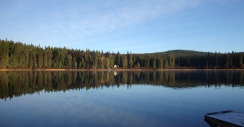 Evergreen forest trees perfectly reflecting off calm waters at Higgins Lake, MI.