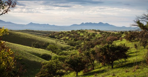rolling green hills of sonoita arizona under a cloudy sky