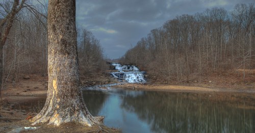 Kincaid Lake Spillway falls in the background with a tree trunk in the foreground in Gorham, Illinois
