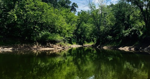 Bright green trees reflecting on the water of Kinkaid Lake in Gorham, Illinois