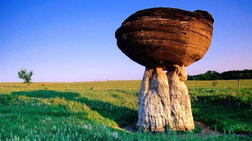 A large, round rock formation perched on a narrow base, surrounded by green grass under a clear blue sky.