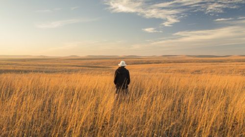 A person in a hat stands in a golden grass field under a blue sky with wispy clouds.
