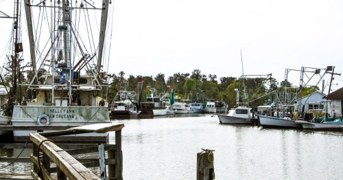 Fishing boats docked on a harbor at dusk in Westwego, a small town near New Orleans, Louisiana