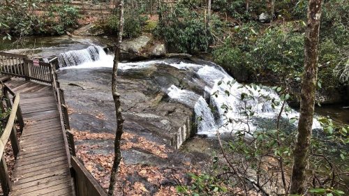A wooden walkway beside a rocky stream with a small waterfall, surrounded by lush greenery and trees.