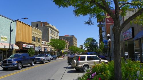 A sunny street scene with shops, parked cars, and blooming flowers along the sidewalk. Trees provide shade.