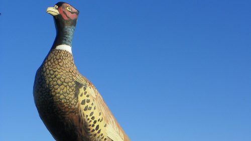 A large statue of a pheasant stands atop a sign welcoming visitors to Huron, SD, home of the world's largest pheasant.