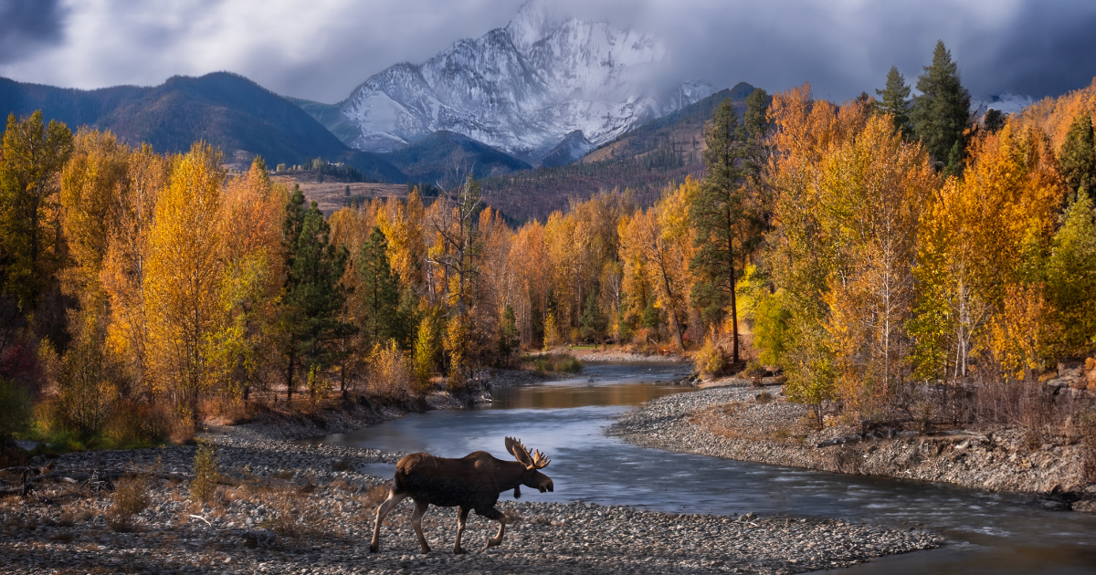 The 13 Best Outdoorsy Towns Across the U.S. For Endless Adventurers
