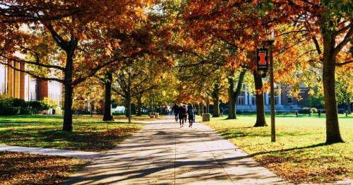 A fall scene on the Boneyard Creek Greenway at the University of Illinois in Champaign.