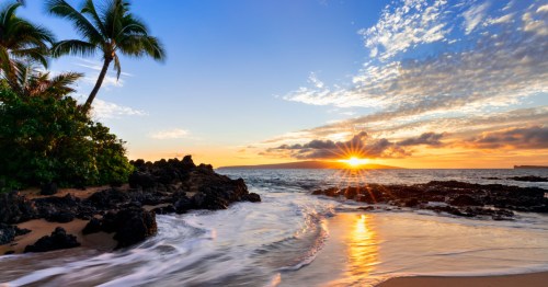Classic Hawaiian beach with sunset and palm trees.