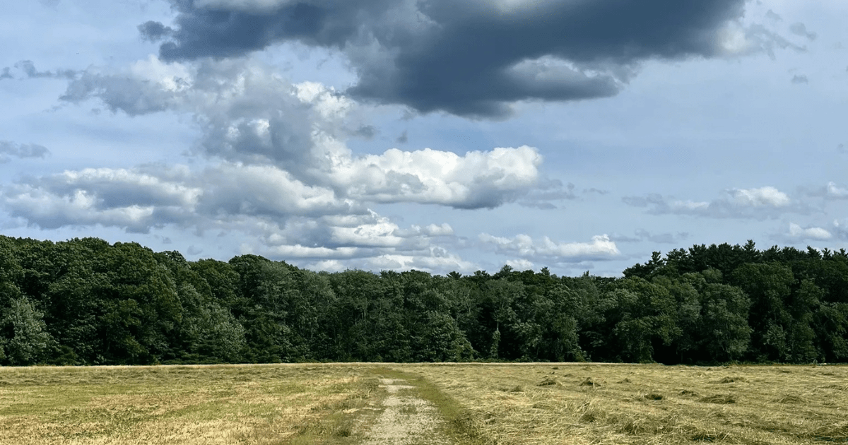 This Massachusetts Swamp Has a Haunted Reputation—And One Seriously Beautiful Trail