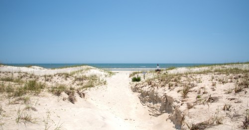 White sandy beaches of Cumberland Island National Seashore