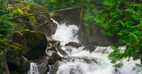 Looking up Deception Falls on a summer day in Washington State.