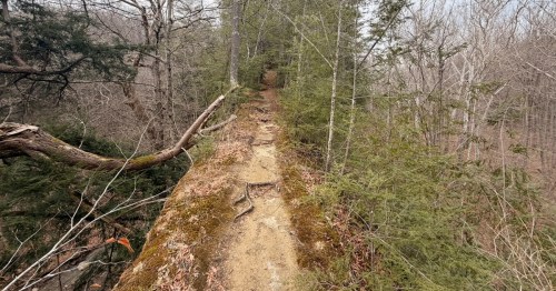 A narrow trail crosses a forest high above it.