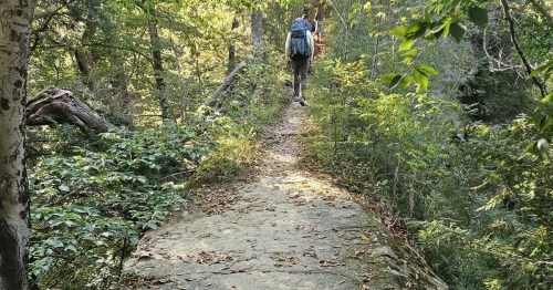 Hikers cross a narrow stone ridge above a forest on Devil's Backbone Trail at Pine Hills Nature Preserve , Montgomery County, Indiana
