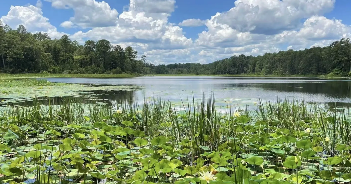 One of the Most Beautiful Lakes in Louisiana Is Surprisingly Overlooked