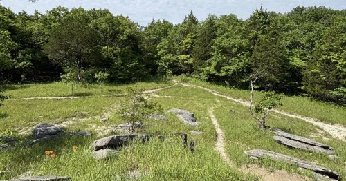 A view from the Devil's Race Track, a scary hiking trail in Alabama.