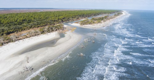 Aerial view of Hunting Island State Park with driftwood along the shore.