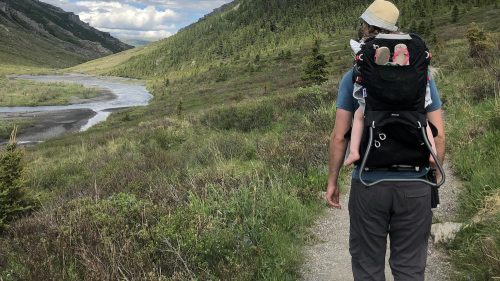A person walks along a trail with a child in a backpack carrier, surrounded by lush greenery and mountains.