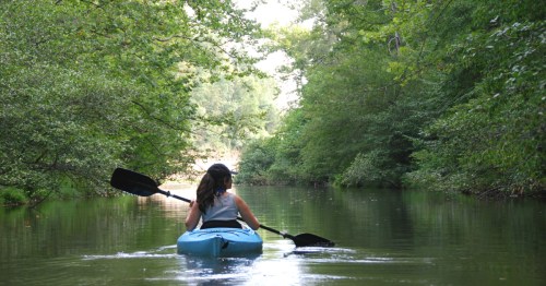 A woman paddles through a hidden lake in Virginia.