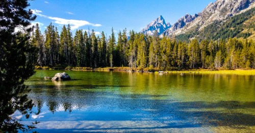 The Teton Mountains and a thick pine forest create the perfect backdrop for Leigh Lake in Grand Teton National Park.