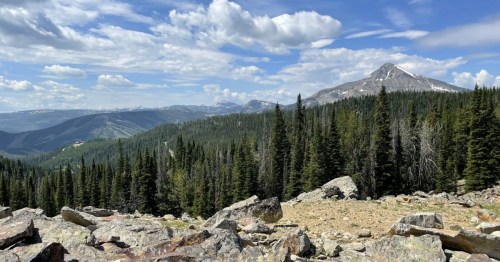 Mountain view of Beehive Basin Trail in Montana.