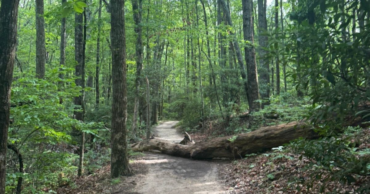 Don’t Let Raven Cliff Falls Fool You—It’s One of the Best in South Carolina