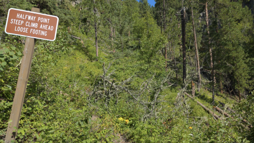 A trail sign reads "Halfway Point, Steep Climb Ahead, Loose Footing," surrounded by dense greenery and trees.