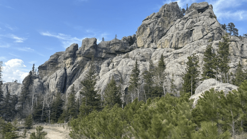 Rocky cliffs rise above a winding path surrounded by pine trees under a clear blue sky.