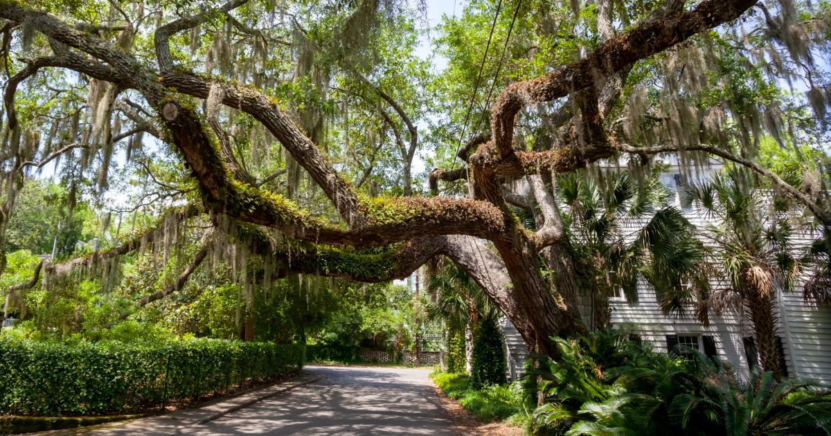 Ditch Charleston — Try This South Carolina Town Instead