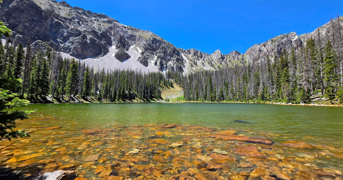 This Hidden Alpine Lake Is One of New Mexico's Best Outdoor Secrets
