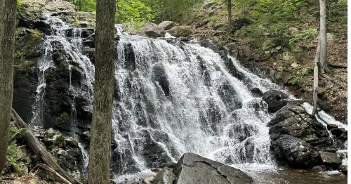 A close-up of a small waterfall cascading down a rock wall at Ramapo Valley County Reservation in New Jersey.