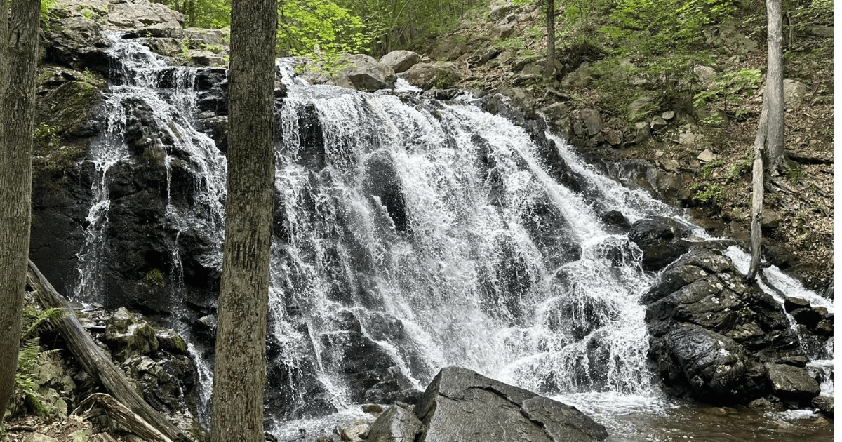 The Ramapo Ramble Trail Sounds Intense, But It's One of the Best Hikes in New Jersey