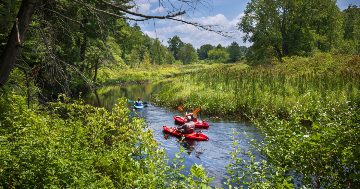 These 5 Connecticut Towns Are Perfect for Nature Lovers