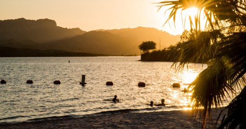 People swim in the lake at Cattail Cove State Park at sunset in Arizona.