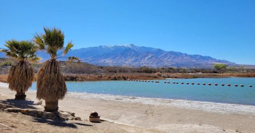 Roper Lake in Arizona featuring blue waters, a sandy beach, palm trees, and mountains in the backdrop.