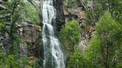 A serene waterfall cascading down rocky cliffs, surrounded by lush green trees and foliage.