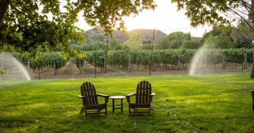 two chairs and a table set outside on a lawn with a vineyard in the background in cornville arizona