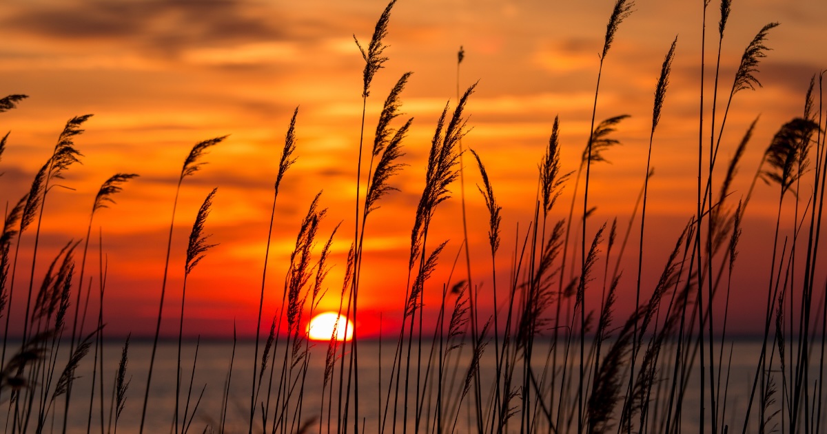 This Hidden Beach in Maryland Is Better Than Assateague Island National Seashore