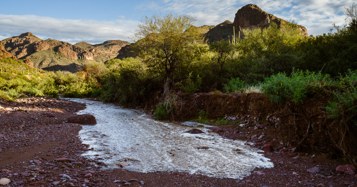 Flash Flooding in Arizona May Be Intense This Summer