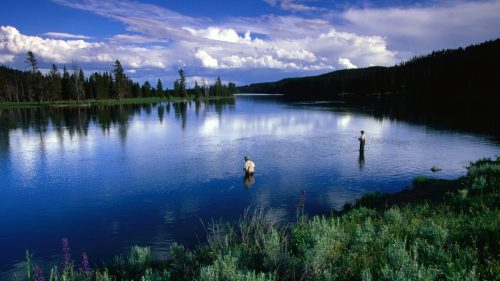 Two people wade in a serene lake surrounded by lush greenery and a blue sky with fluffy clouds.