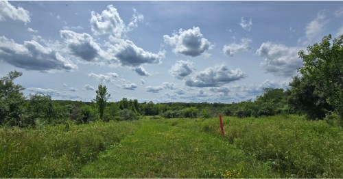 Lush green hiking trail under a dramatic, cloudy summer sky at Hellbender Bluff in Ohio.