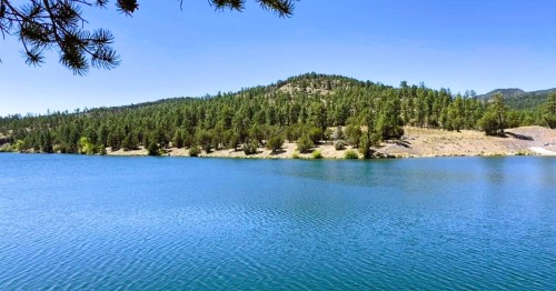 Views of Lake Roberts, a hidden alpine lake in NM, featuring blue waters and hills covered with pine trees.